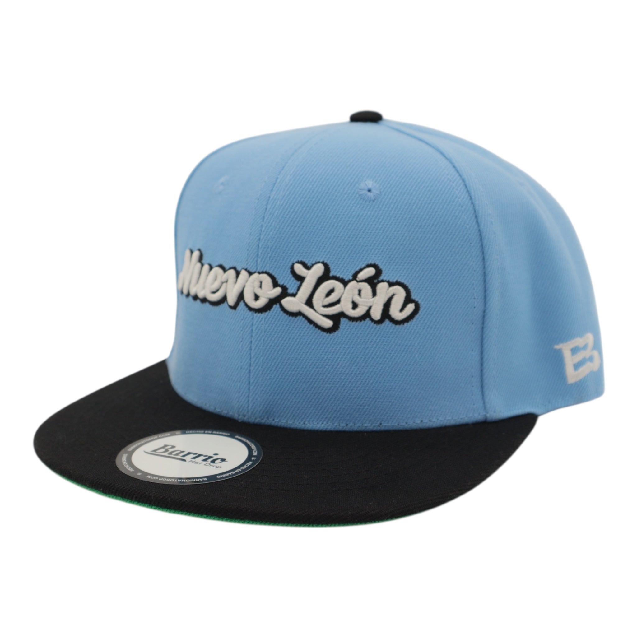 Gorra snapback de Nuevo León, México