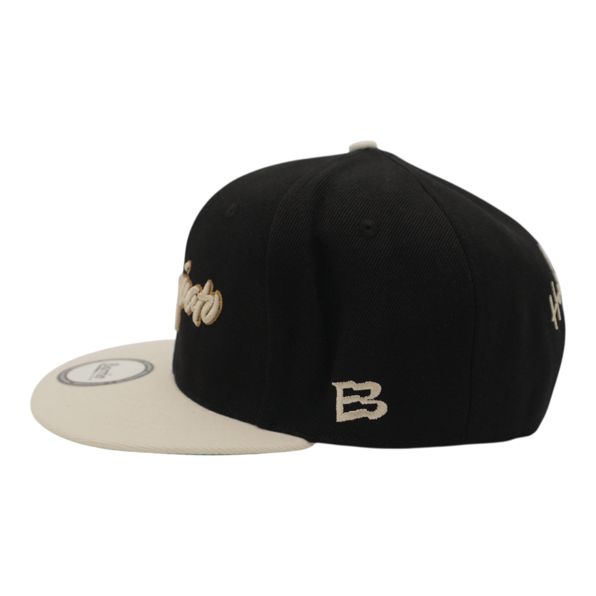 Gorra snapback Guanajuato México