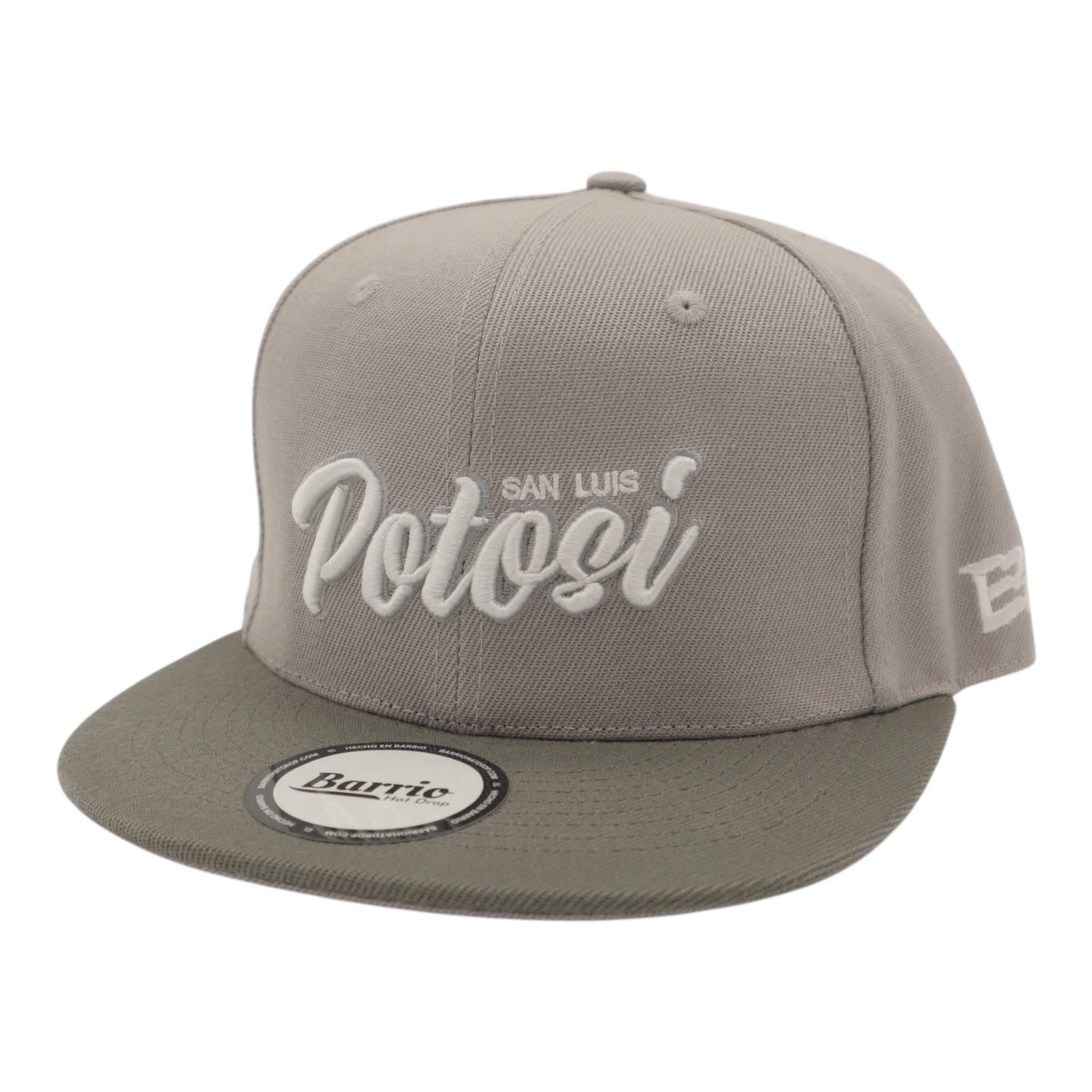 Gorra San Luis Potosí Snapback México