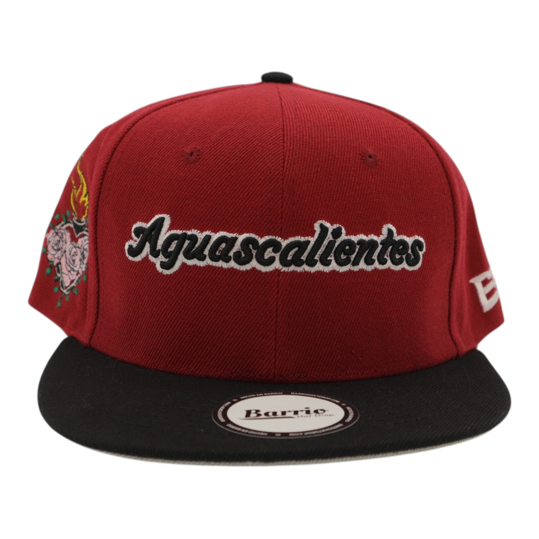 Aguascalientes Mexico Snapback