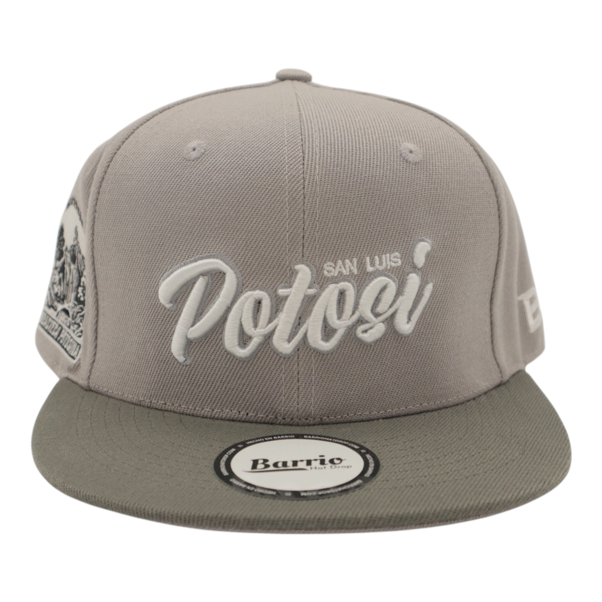 Gorra San Luis Potosí Snapback México