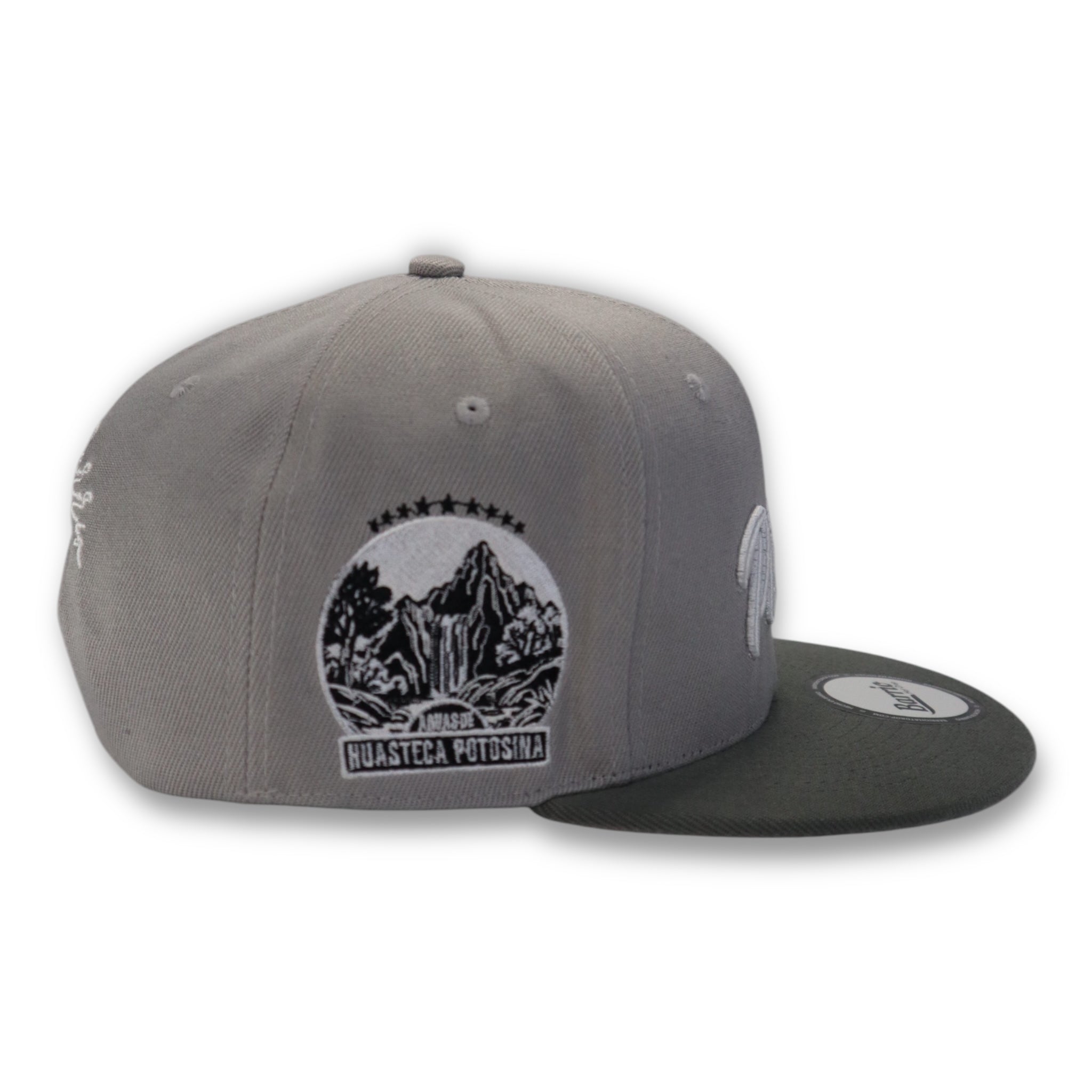 San Luis Potosí Mexico Snapback