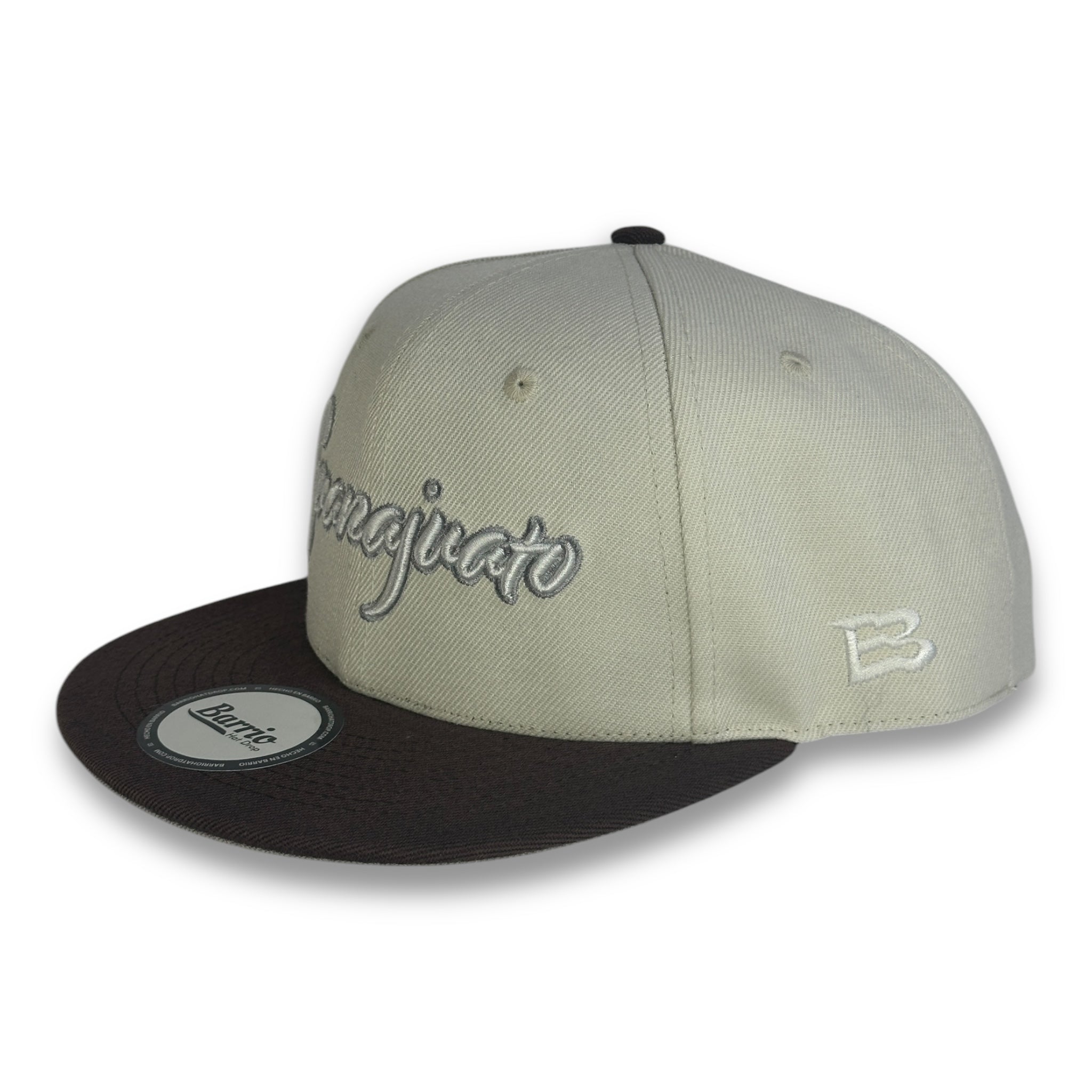 Guanajuato Mexico Snapback