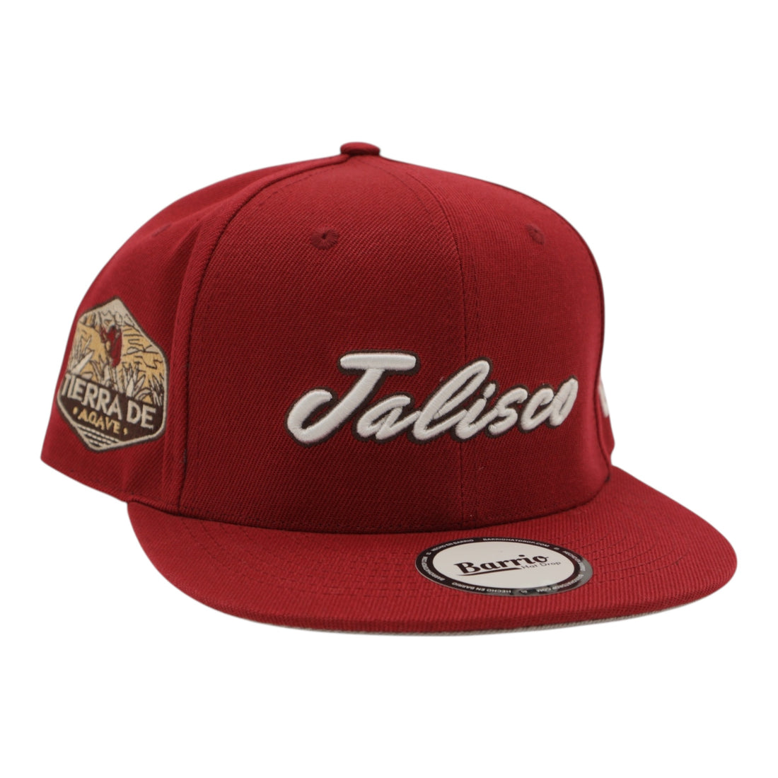 Jalisco Mexico Snapback