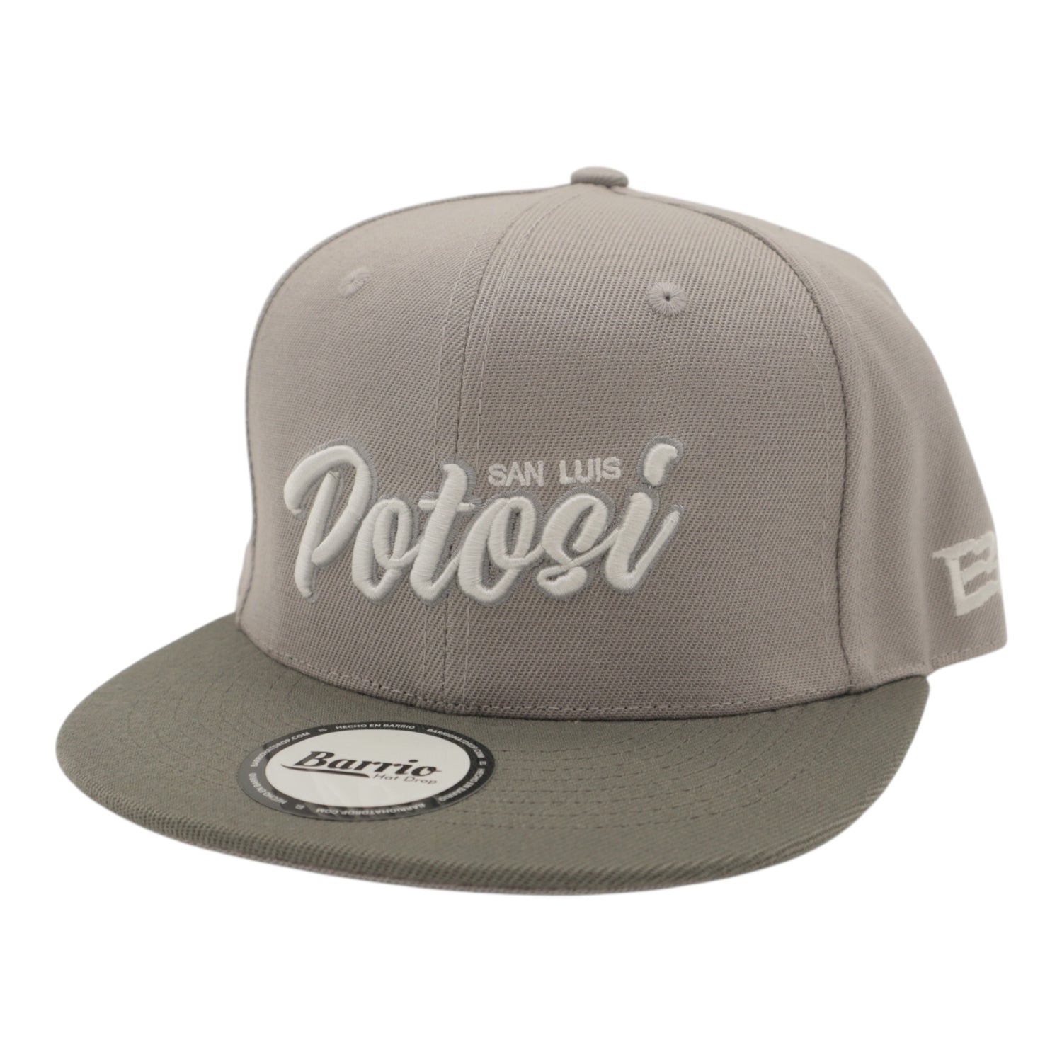 Gorra San Luis Potosí Snapback México