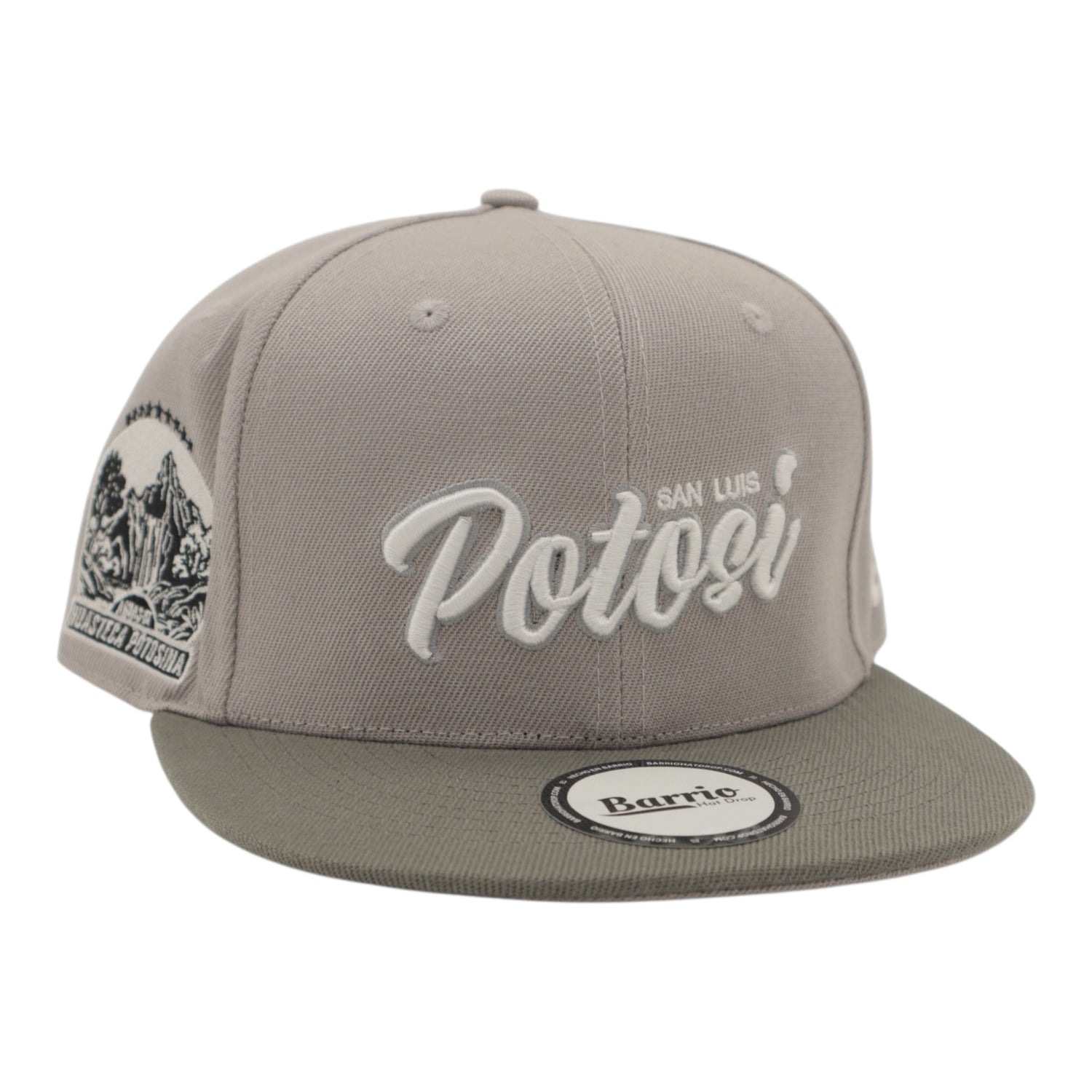 Gorra San Luis Potosí Snapback México
