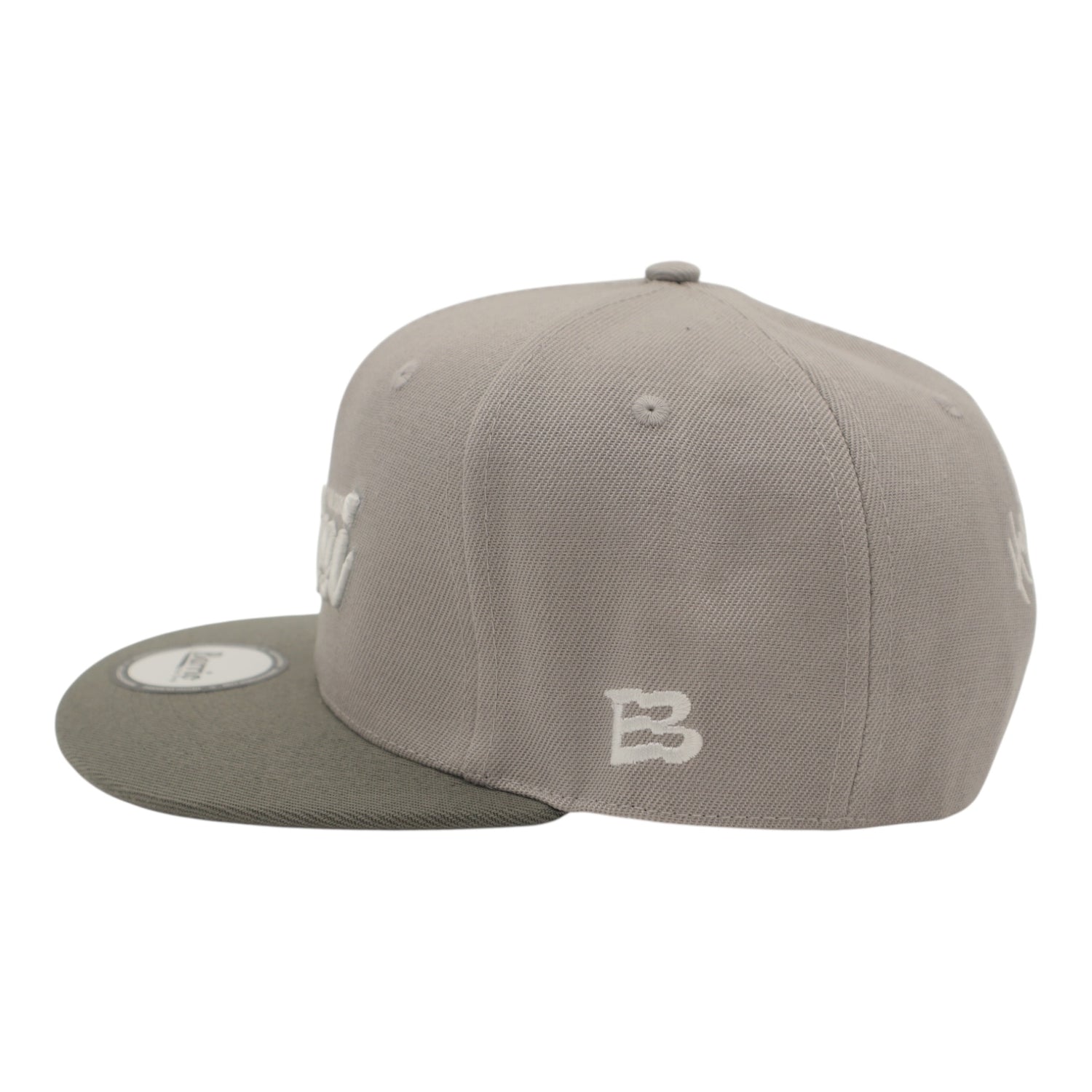 Gorra San Luis Potosí Snapback México