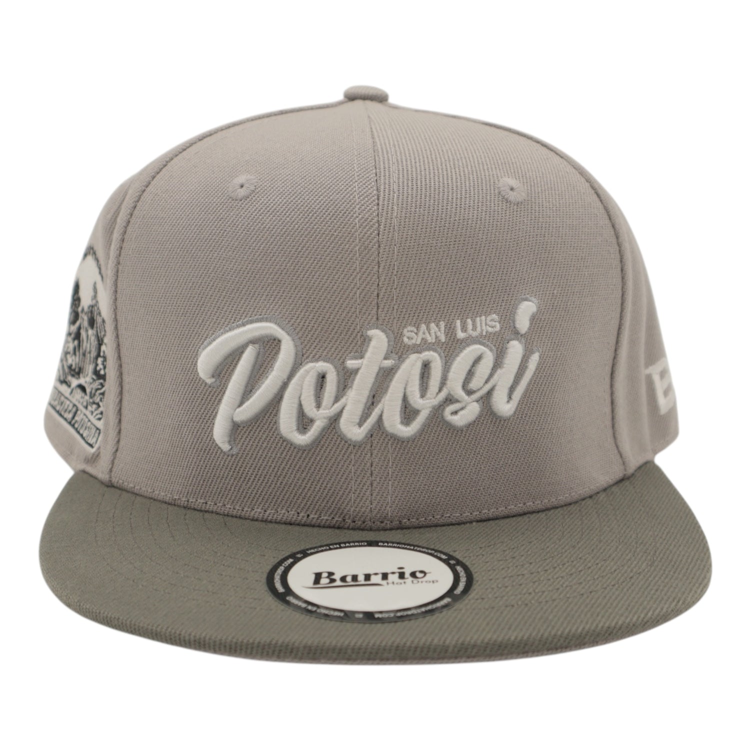 Gorra San Luis Potosí Snapback México